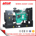 80kw 100kVA Electric Green Power Generator